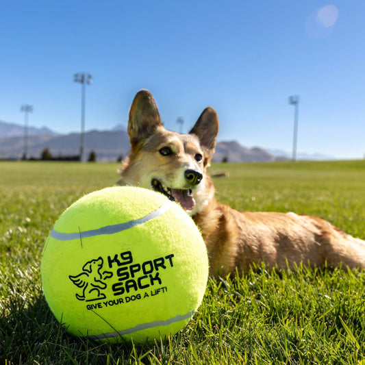 Too Big to Chew Tennis Ball K9 Sport Sack