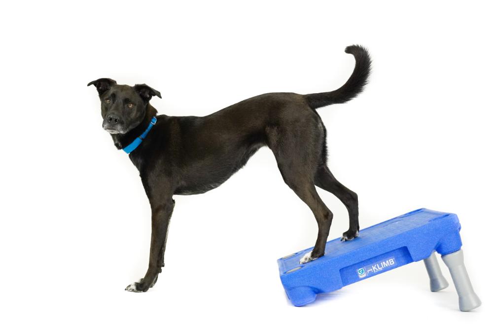 KLIMB Blue-9 Pet Products