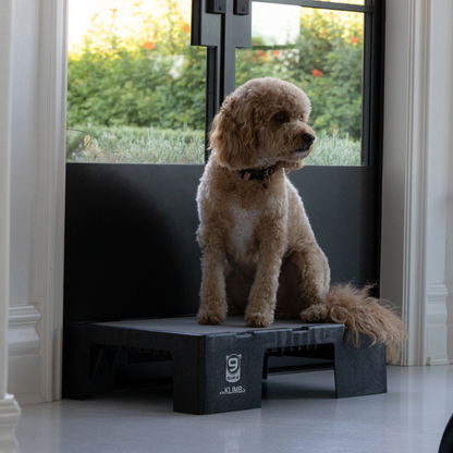 KLIMB Jr Blue-9 Pet Products