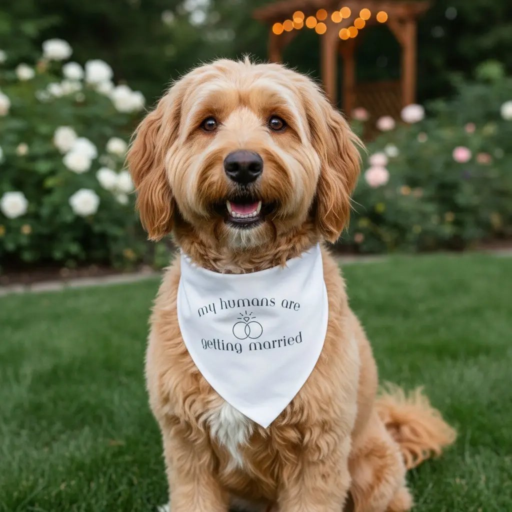 My Humans Are Getting Married Dog Bandana Happy Tails Outfitters