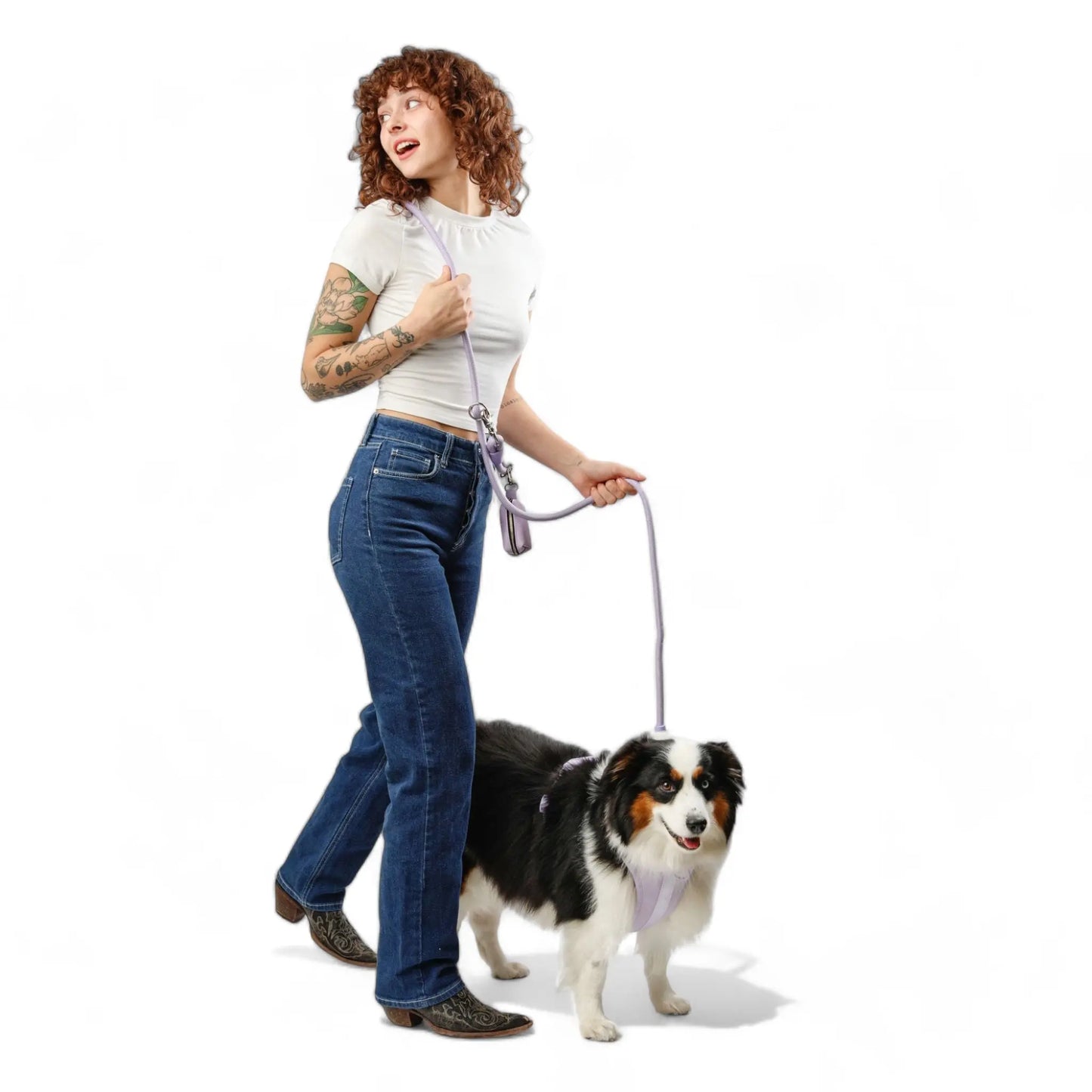 Kismet Dog Leash - K9 Outdoors