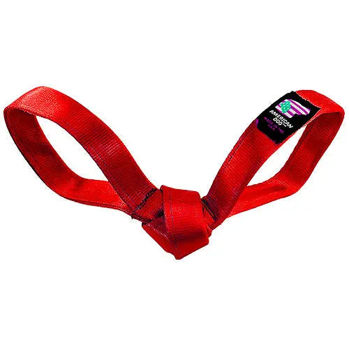 LUCKY DOG $7 Love Bird Seatbelt Tug American Dog