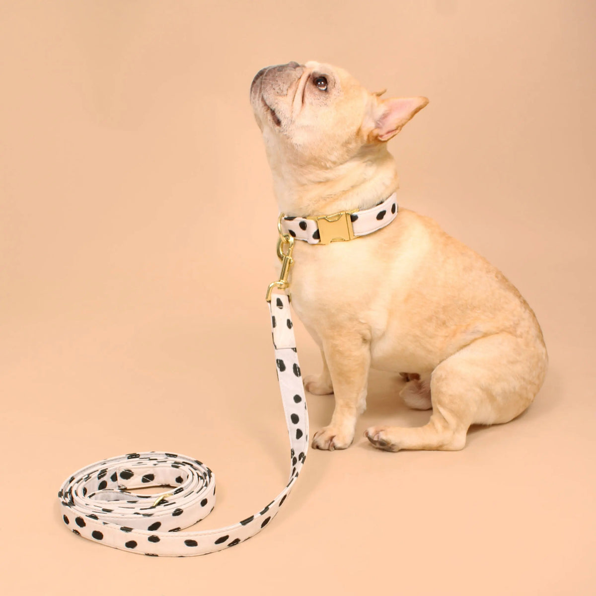Manhattan Recycled Dog Leash