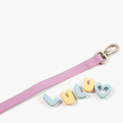 Original Dog Leash with Neoprene Handle Springland Pets