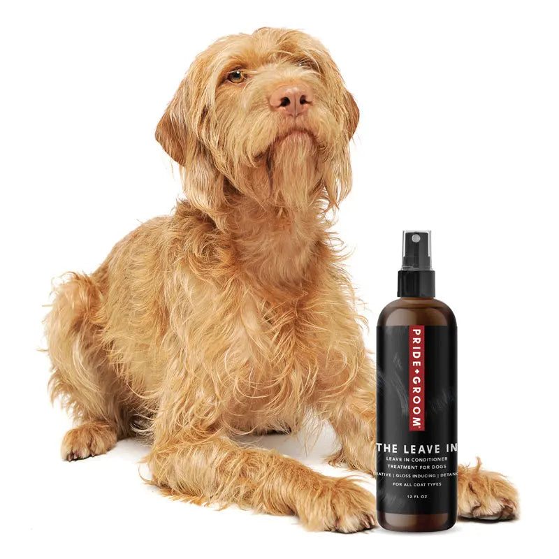 THE LEAVE IN Dog Detangling Leave in Spray — Detangling, Moisturizing & Conditioning Leave In Spray for Dogs - K9 Outdoors