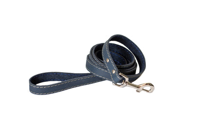 Traditional Blue Jeans Leather Leash Euro-Dog Collars and Leads