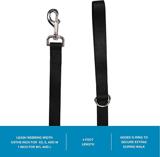 LEAD 4ft Leash Blue-9 Pet Products