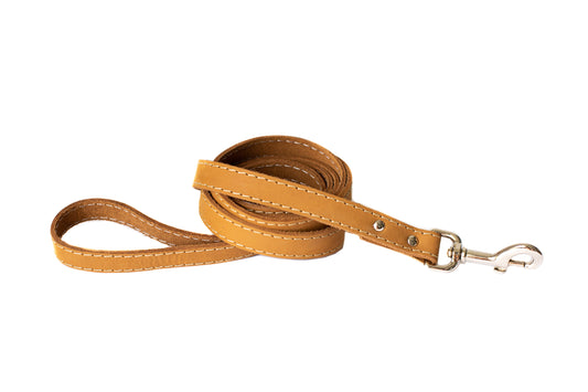 Traditional Khaki Leather Leash Euro-Dog Collars and Leads