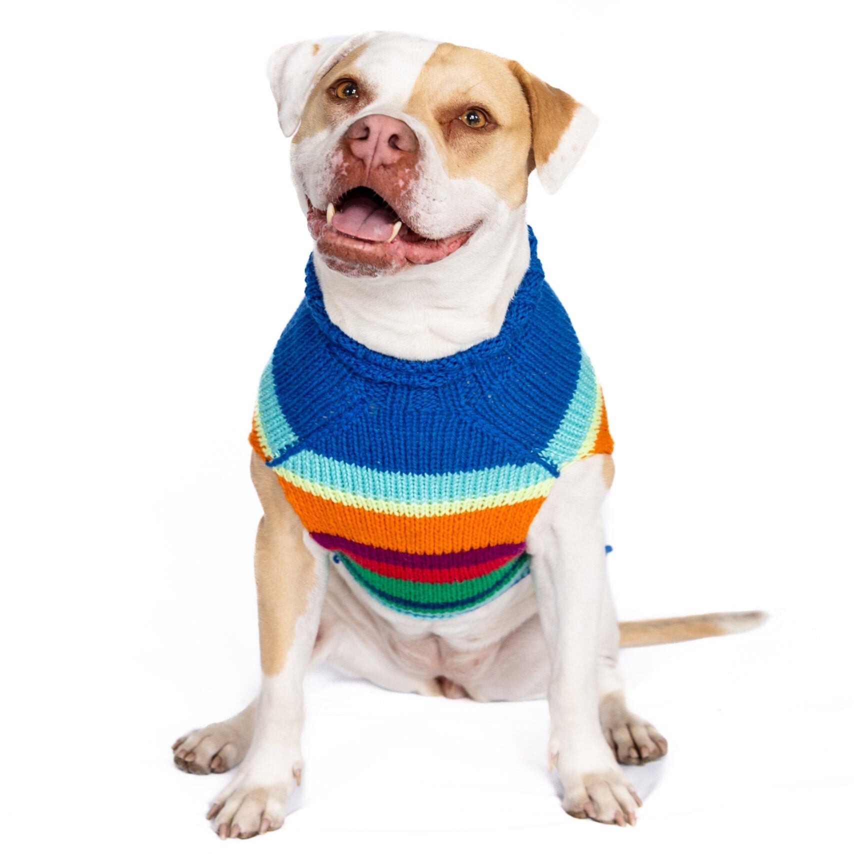 Alpaca Royal Stripe Dog Sweater