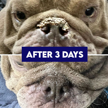 Ruff Nose Pet Nose Repair Balm Horizon Animal Care