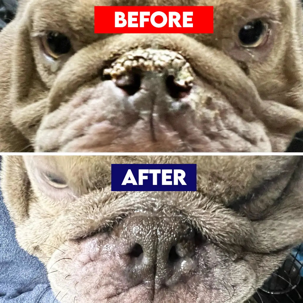 Ruff Nose Pet Nose Repair Balm Horizon Animal Care