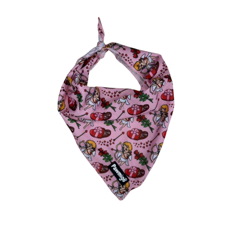 Lovestruck Bandana