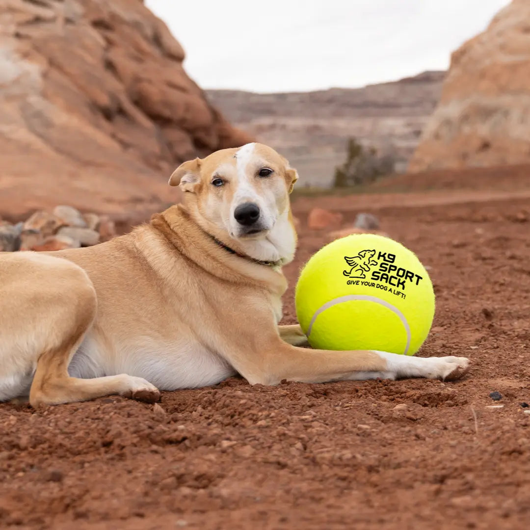 Too Big to Chew Tennis Ball K9 Sport Sack