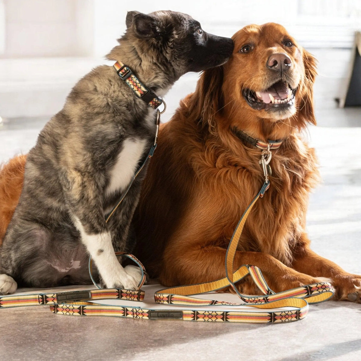 Classic Dog Leash 1''