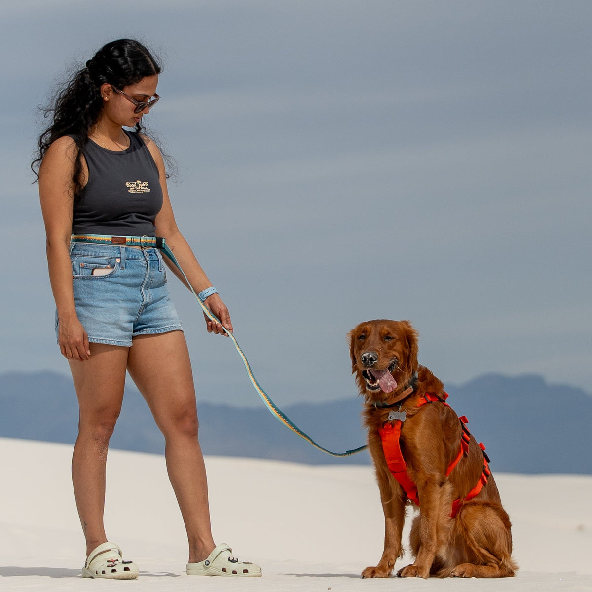 Adjustable Hands-Free Leash 1''