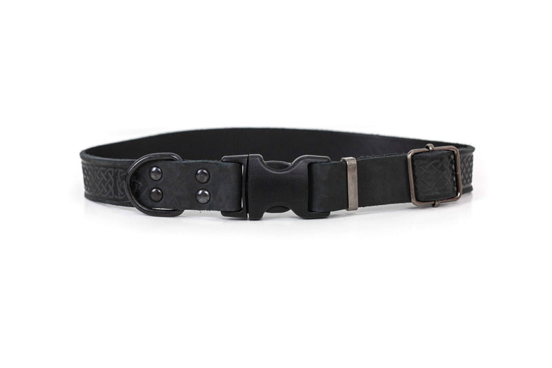 Celtic Sport Quick-Release Leather Dog Collar