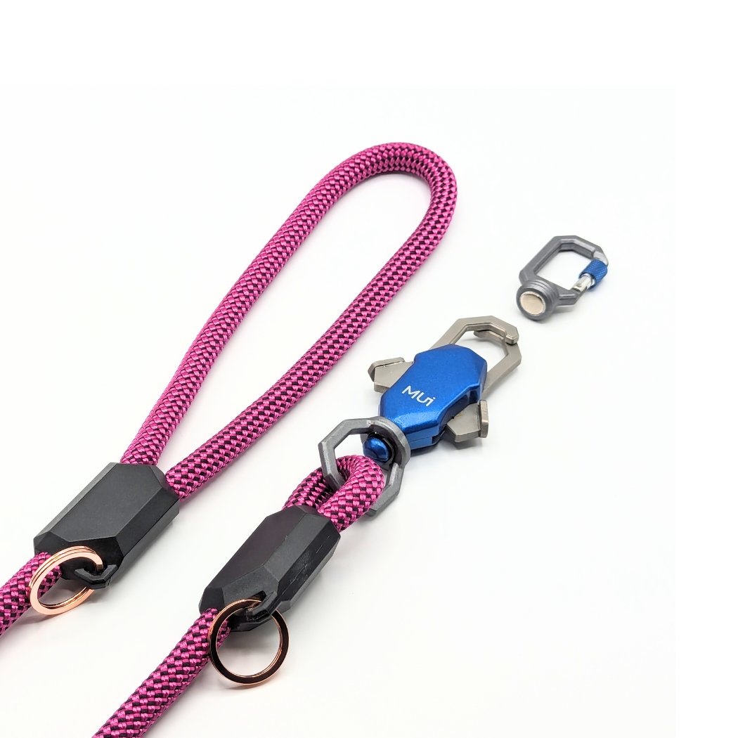Patented Magnetic Dog Leash Up Dog Shop