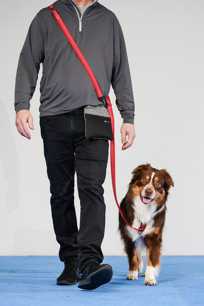 Reflective Multi-Function Leash Blue-9 Pet Products