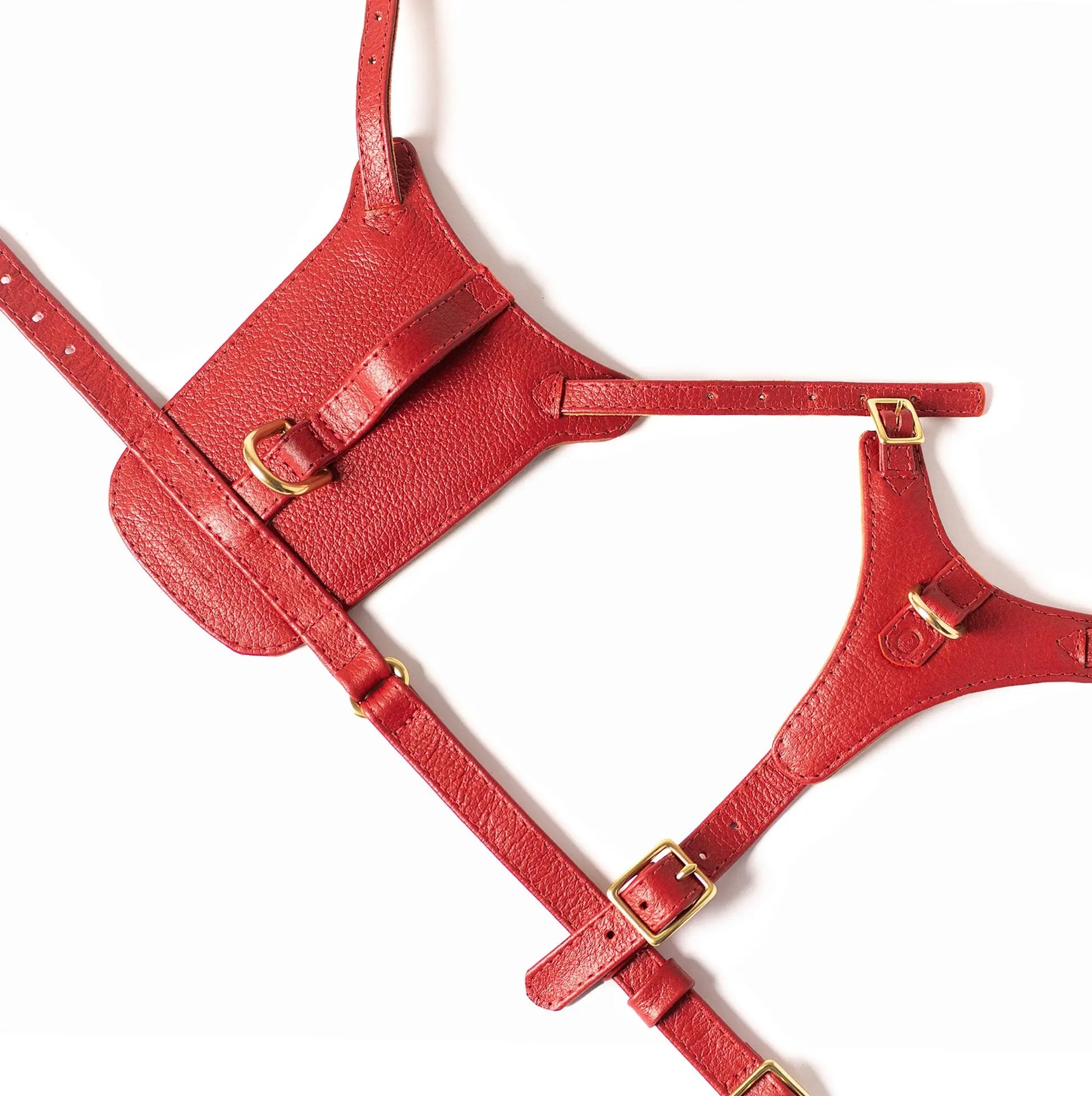 Mars Heritage Harness Ramona For You