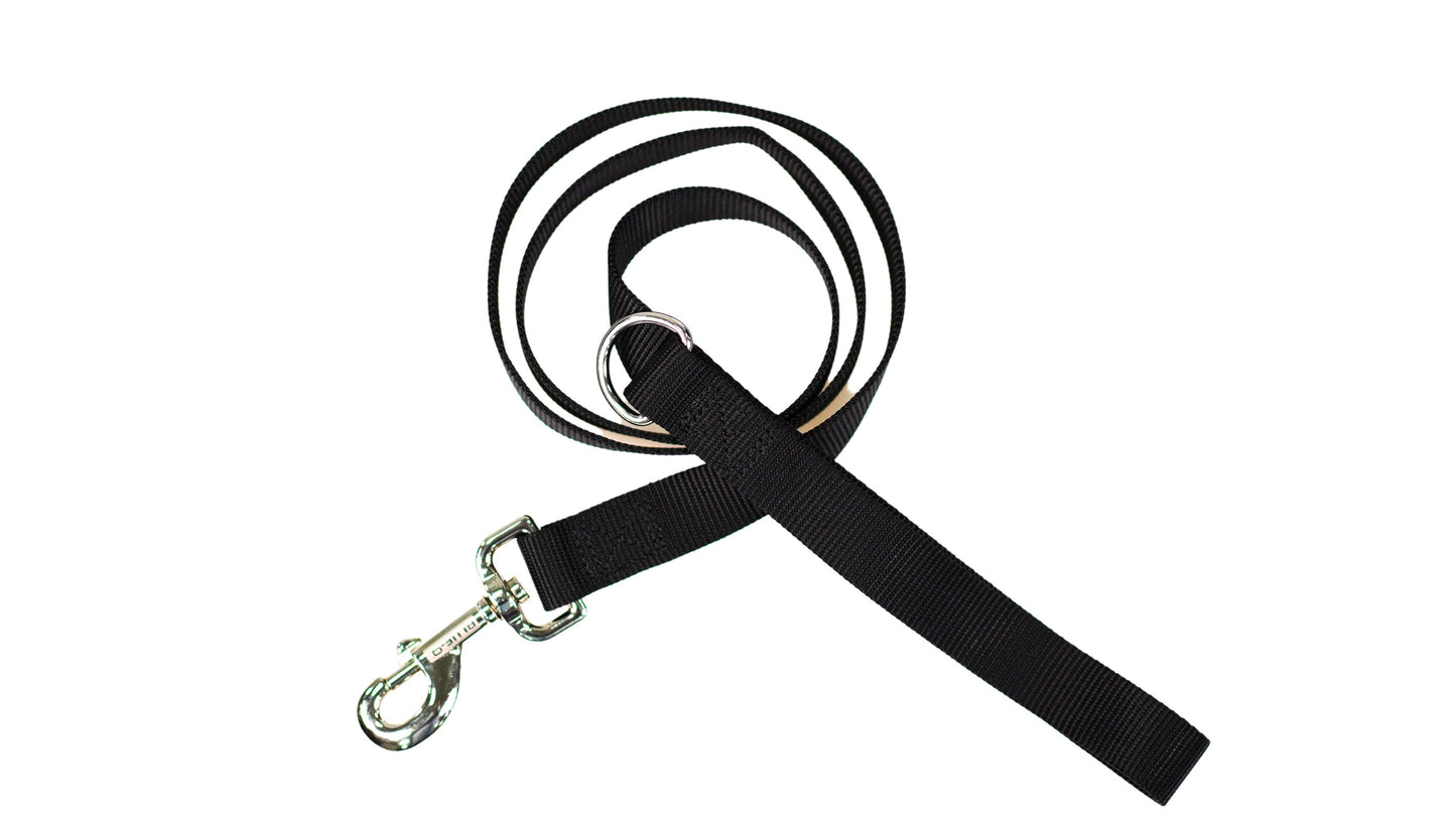 LEAD 4ft Leash Blue-9 Pet Products