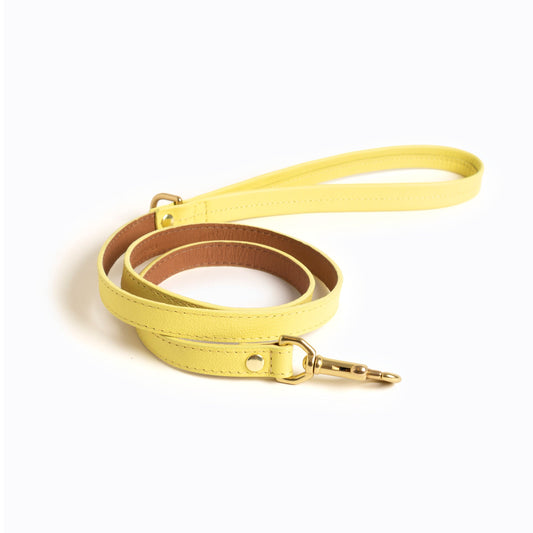 Mellow Leash Ramona For You