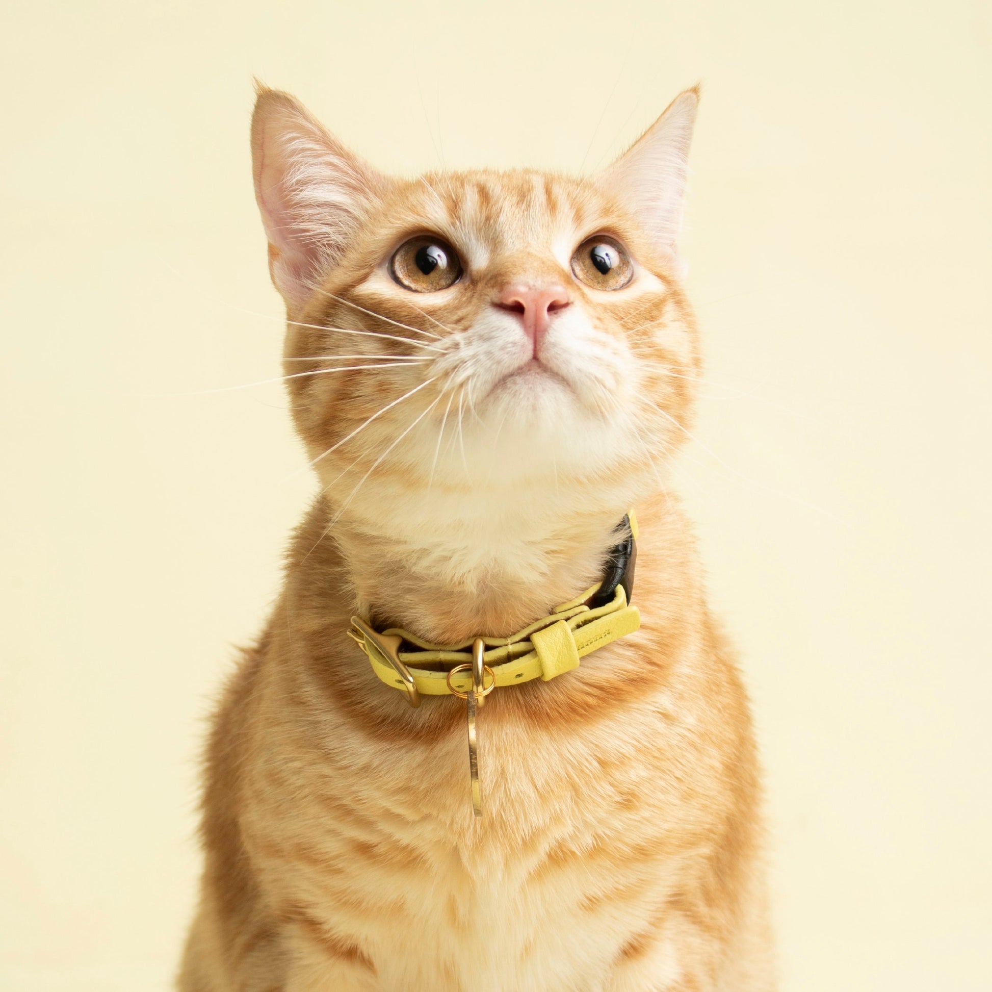 Mellow Cat Collar Ramona For You