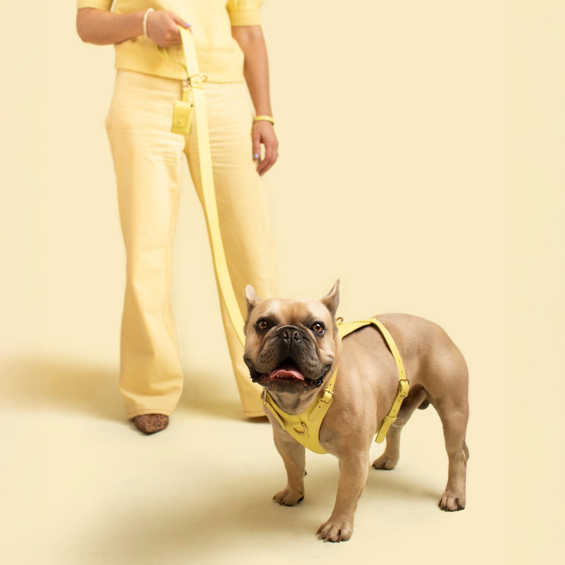 Mellow Heritage Harness Ramona For You