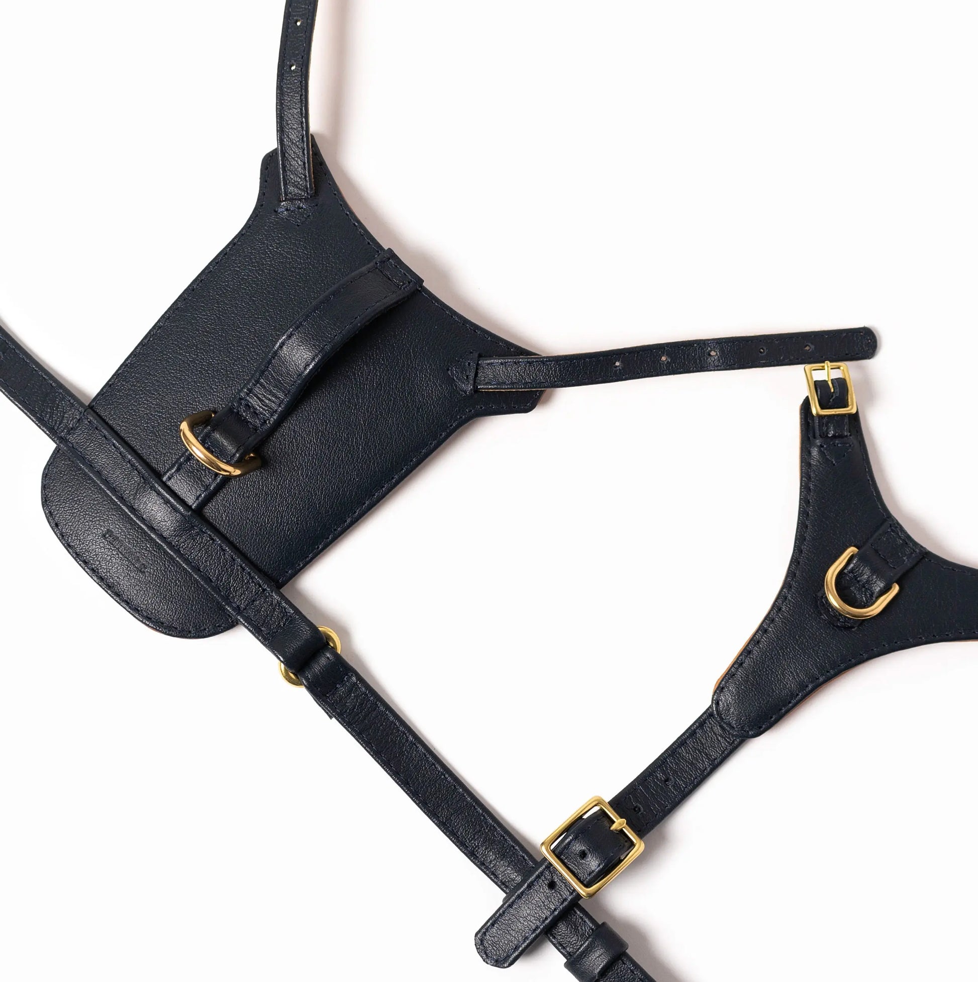 Midnight Heritage Harness Ramona For You