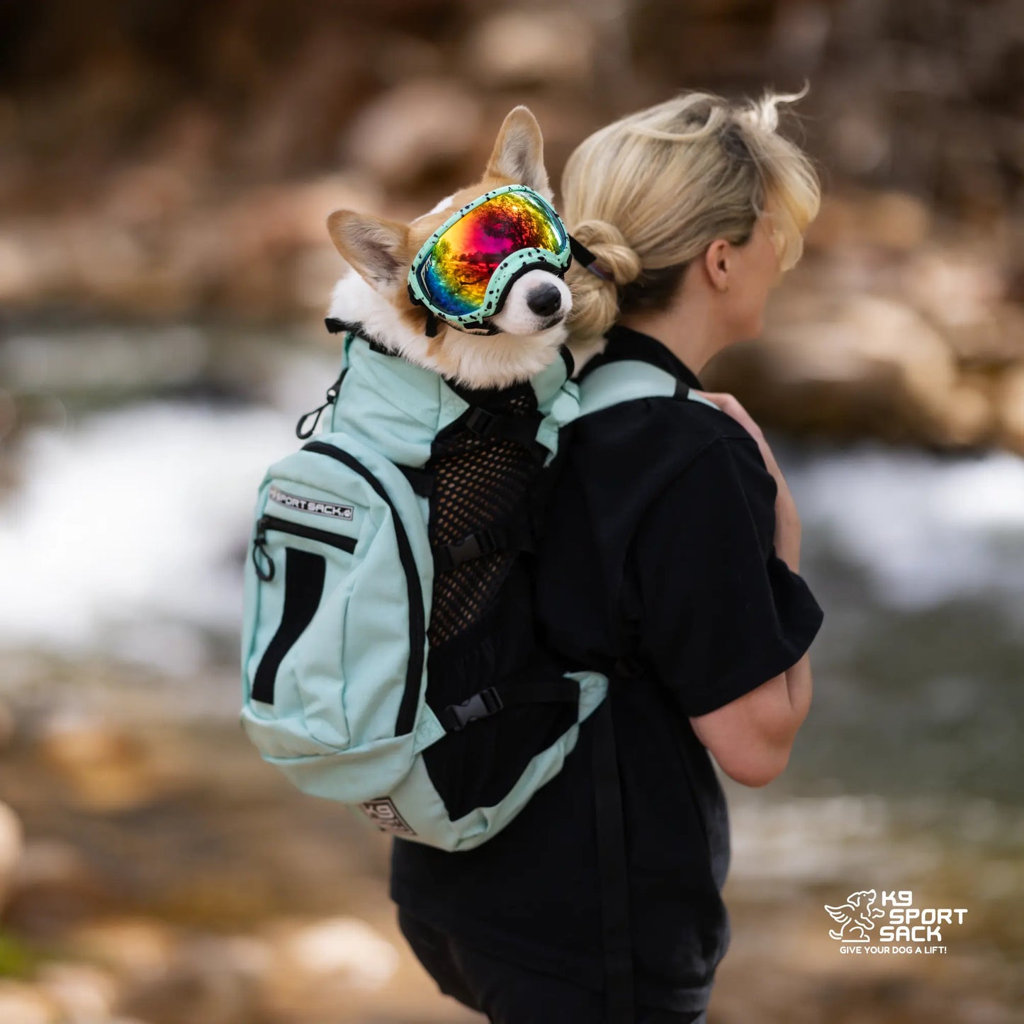 Plus 2 | Dog Carrier with Removable Storage K9 Sport Sack