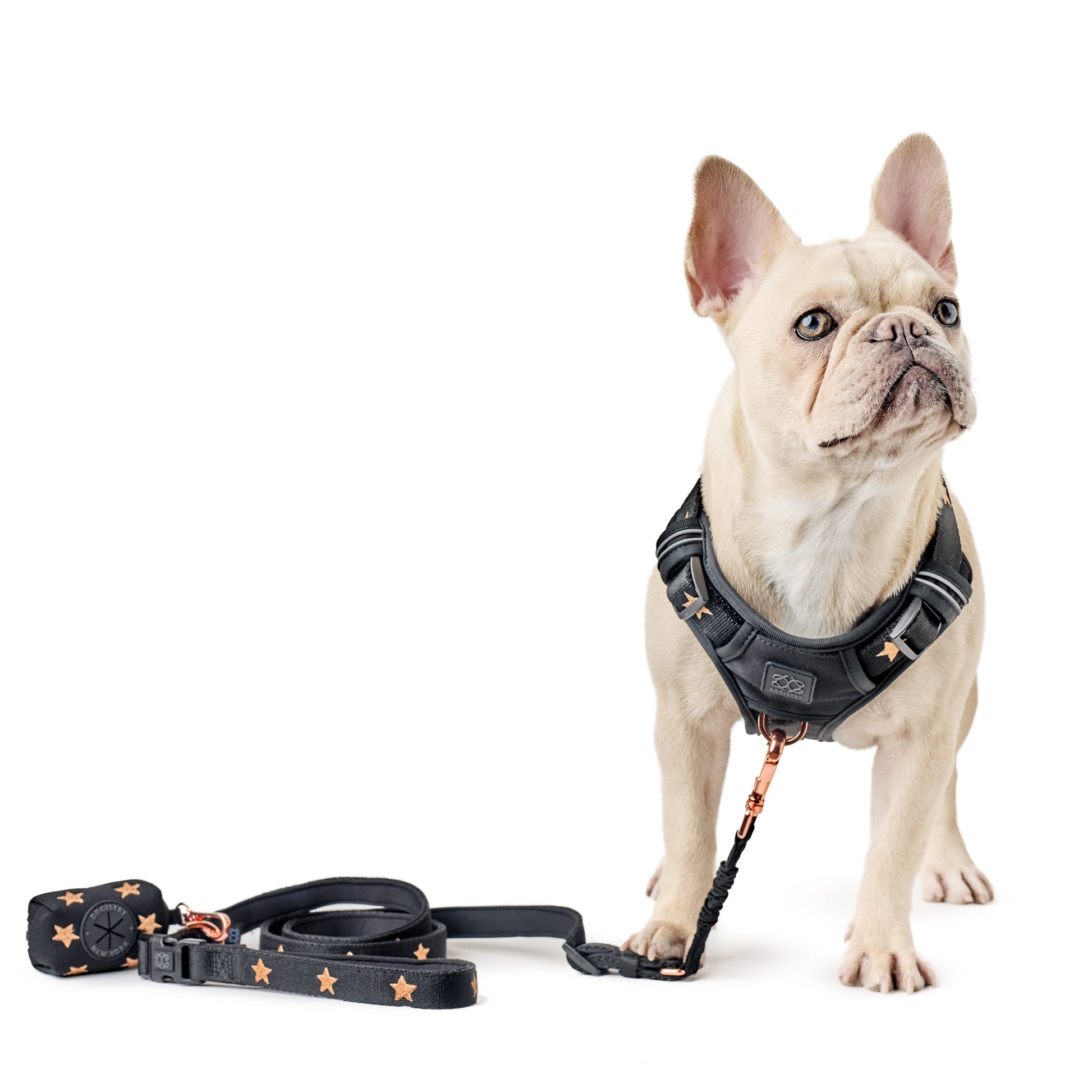 3-in-1 City Dog Leash - Rockstar Dogistry™