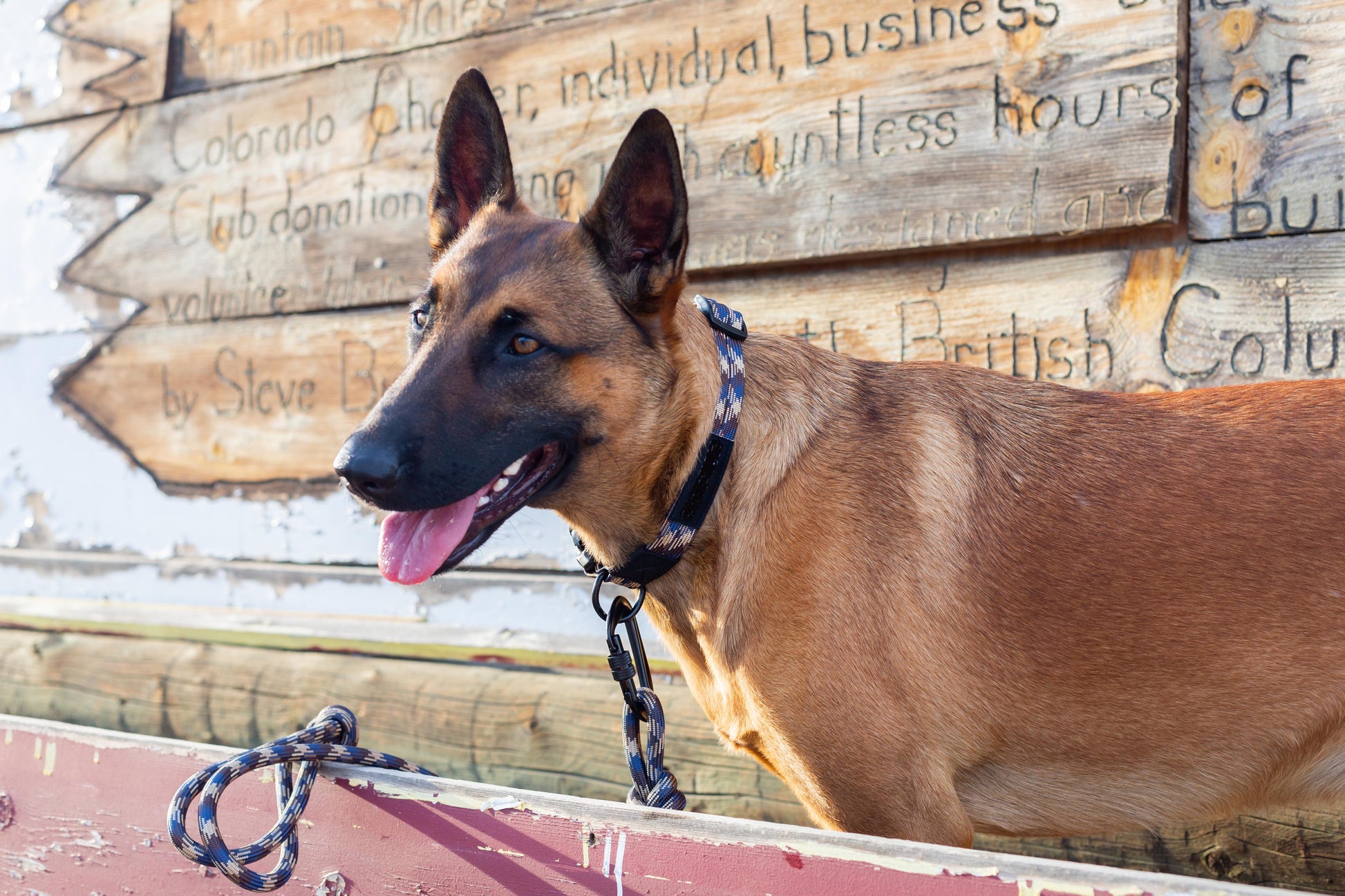 Climbing Rope Dog Collar