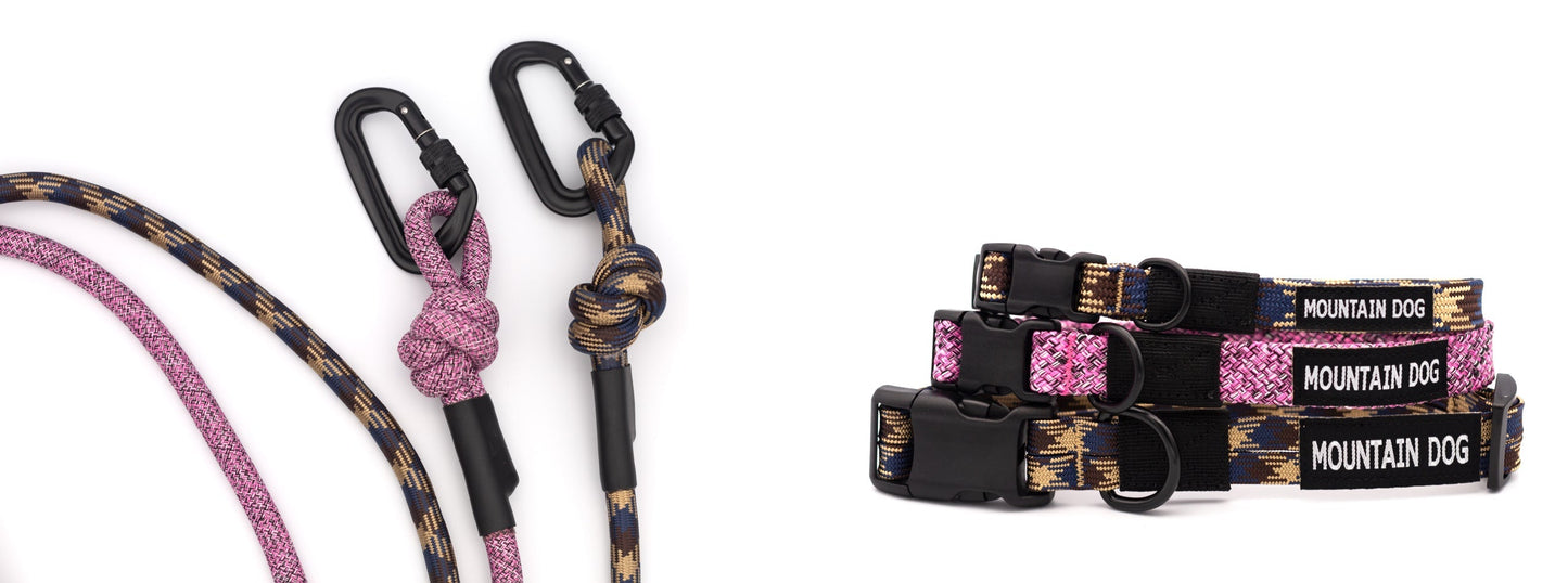 Adventure Style Collar and Leash SET Euro-Dog Collars and Leads