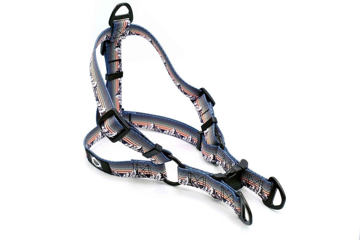 Outdoor Style Nylon Step-In Dog Harness