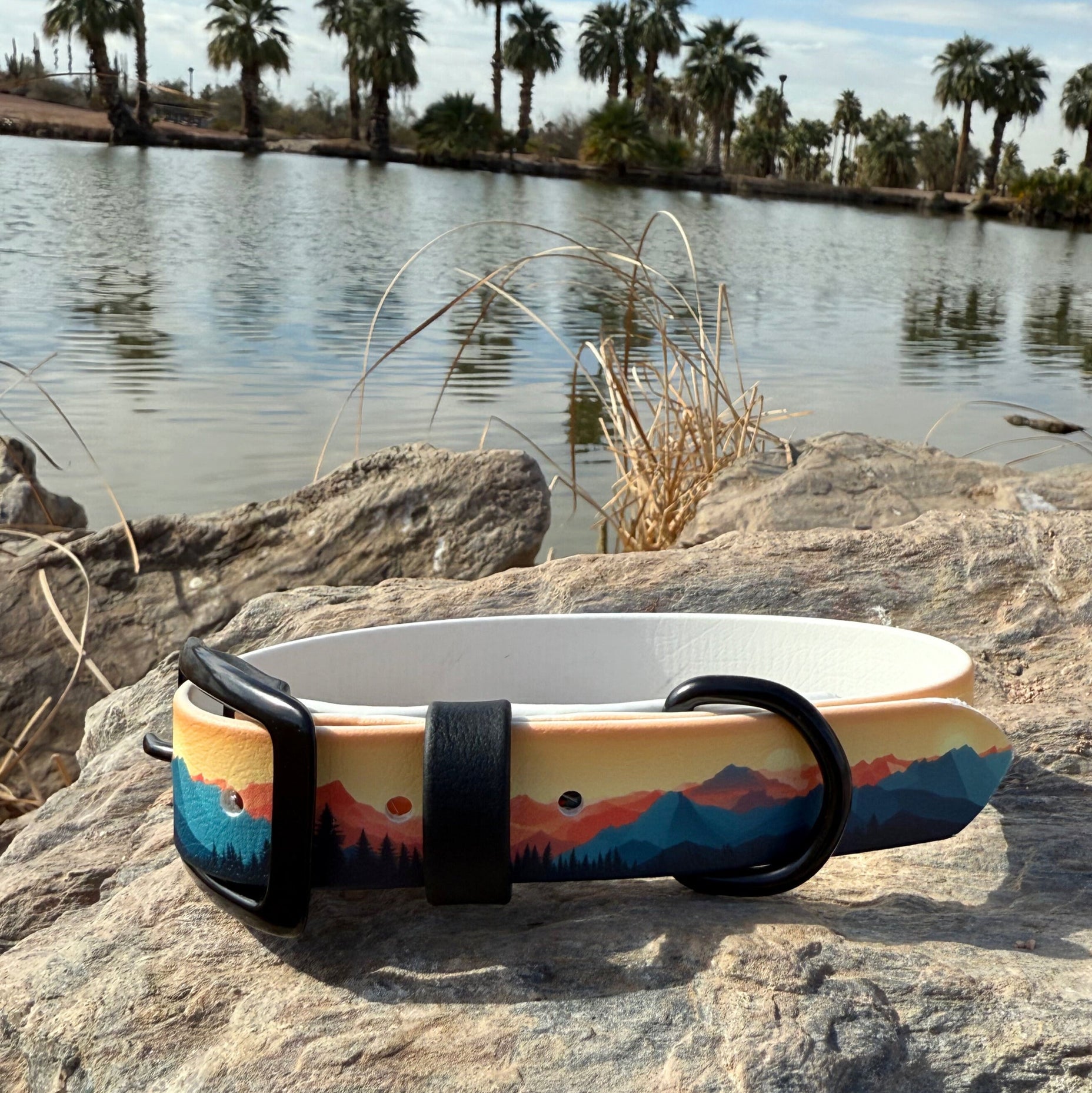 Mountains Biothane Collar