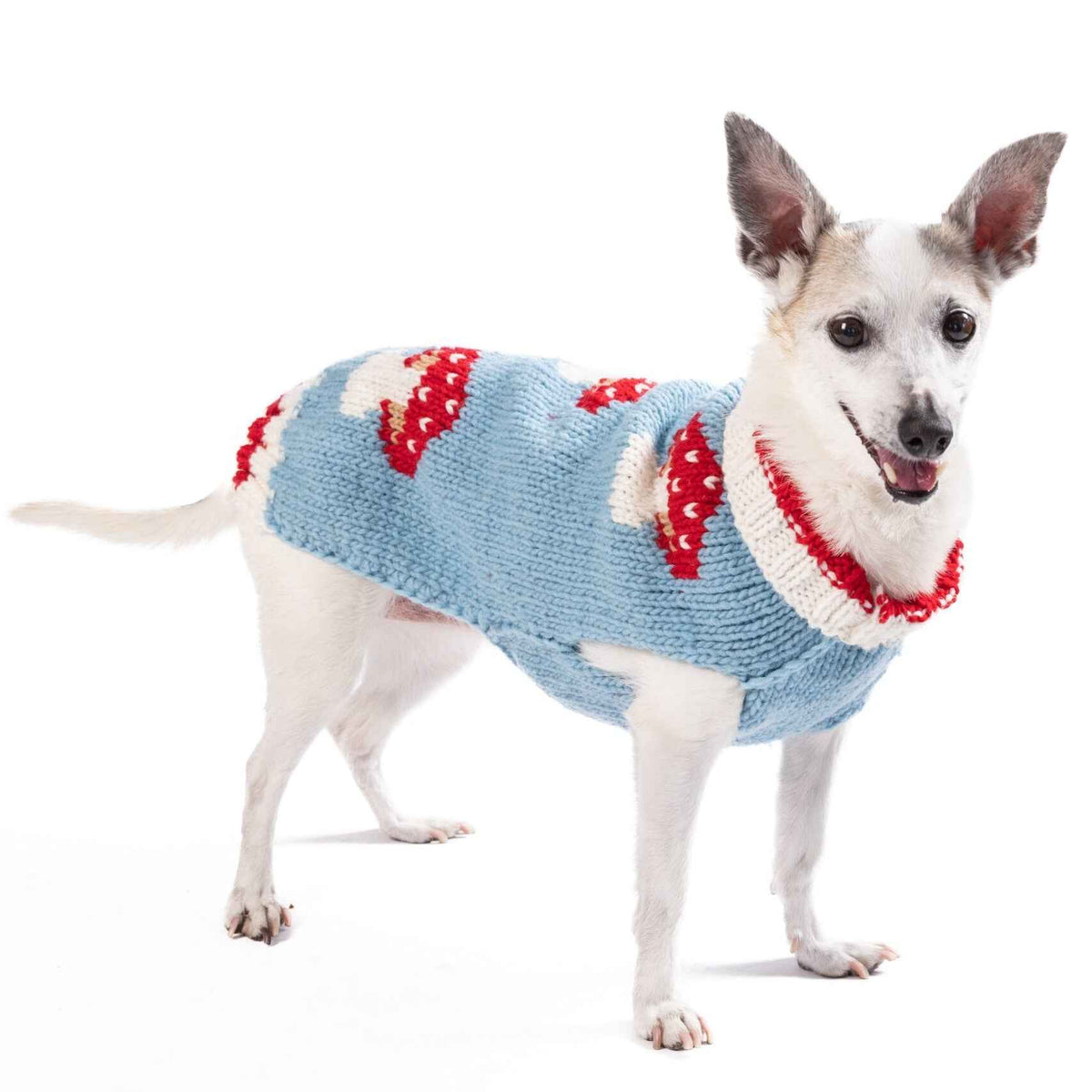 Mushroom Dog Sweater
