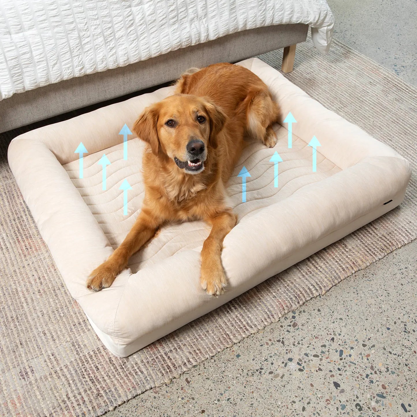 PupChill™ Cooling 4-Bolster Dog Bed - Arctic Sand Paw.com