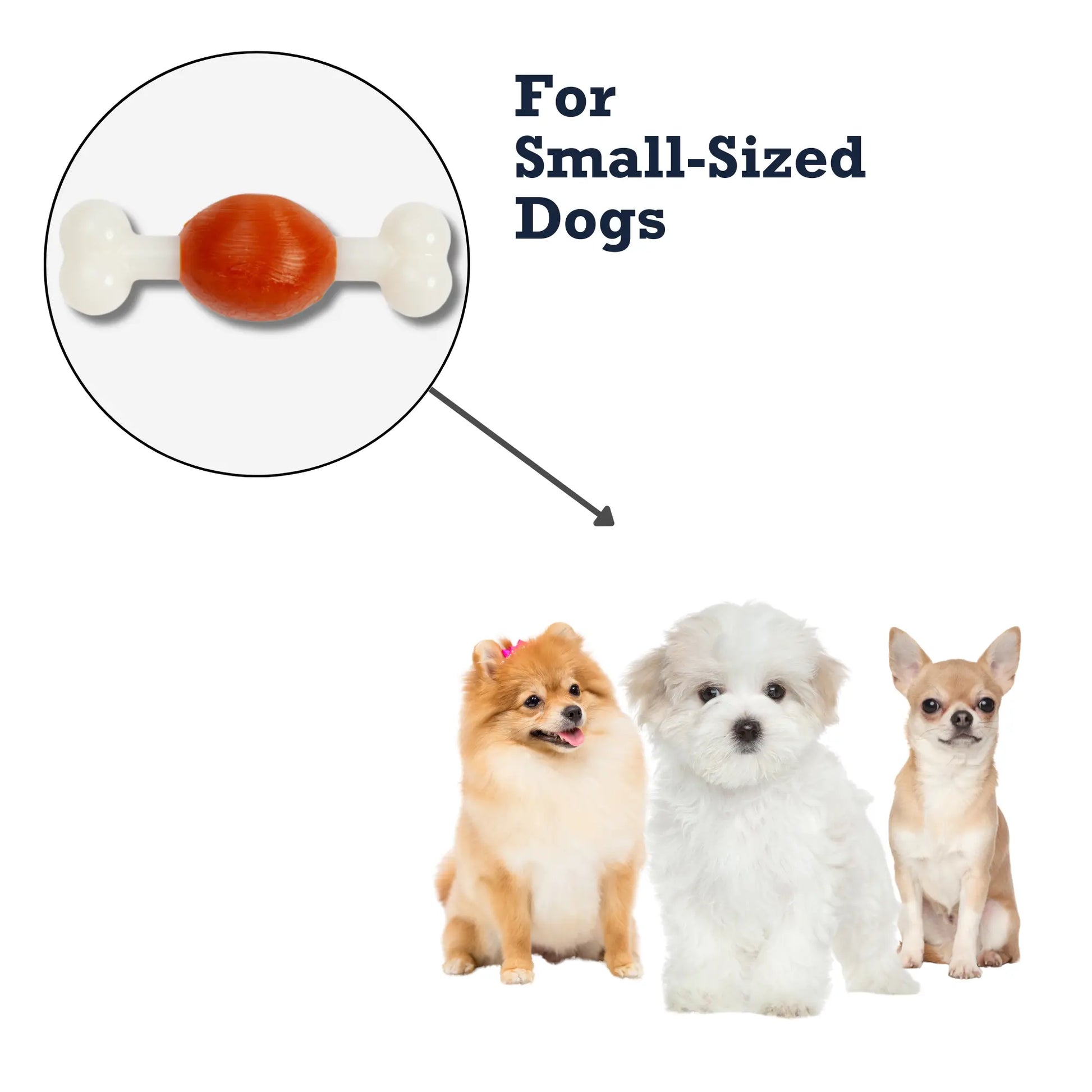 Country Living TPR & Nylon Bone Dog Chew Toy - Beef-Flavored, Ideal for Small Dogs American Pet Supplies