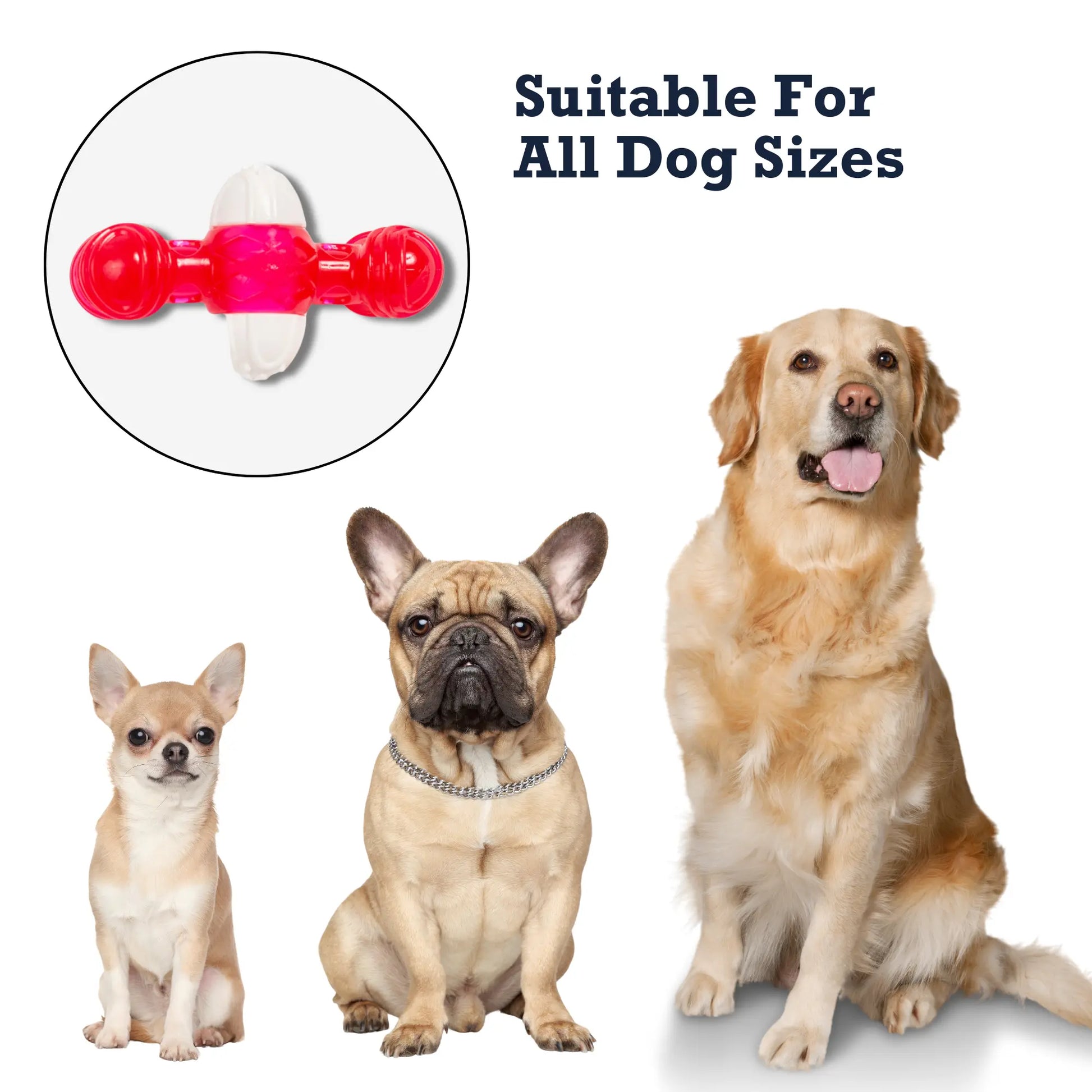 Country Living TPR & Nylon Quacker Bone Chew Toy for Dogs – with Engaging Quacking Sound American Pet Supplies