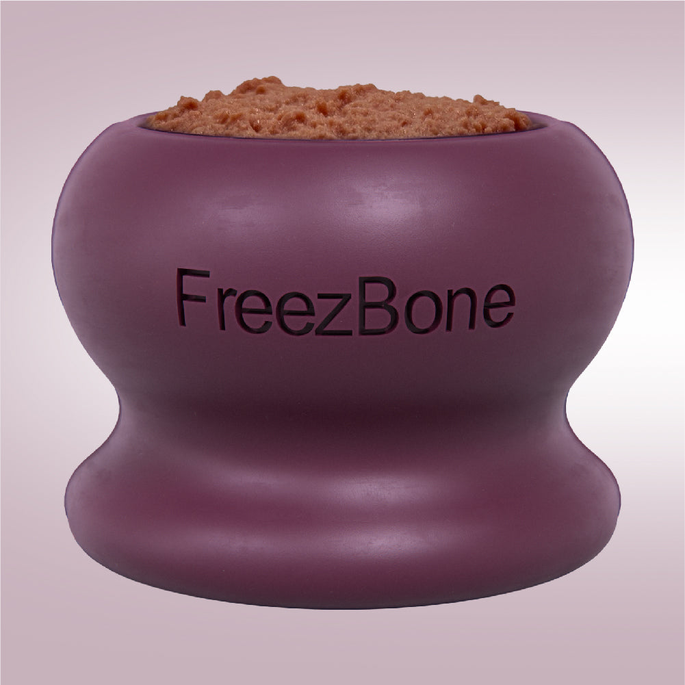 Freezball - Durable Fillable Dog Chew Bone Freezbone