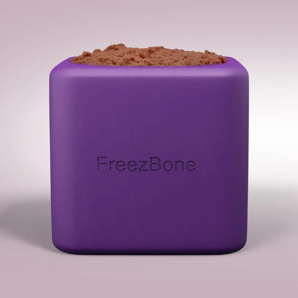 Freezbox - Super Tough Treat Toy Freezbone