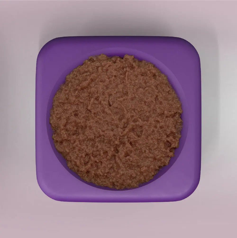 Freezbox - Super Tough Treat Toy Freezbone