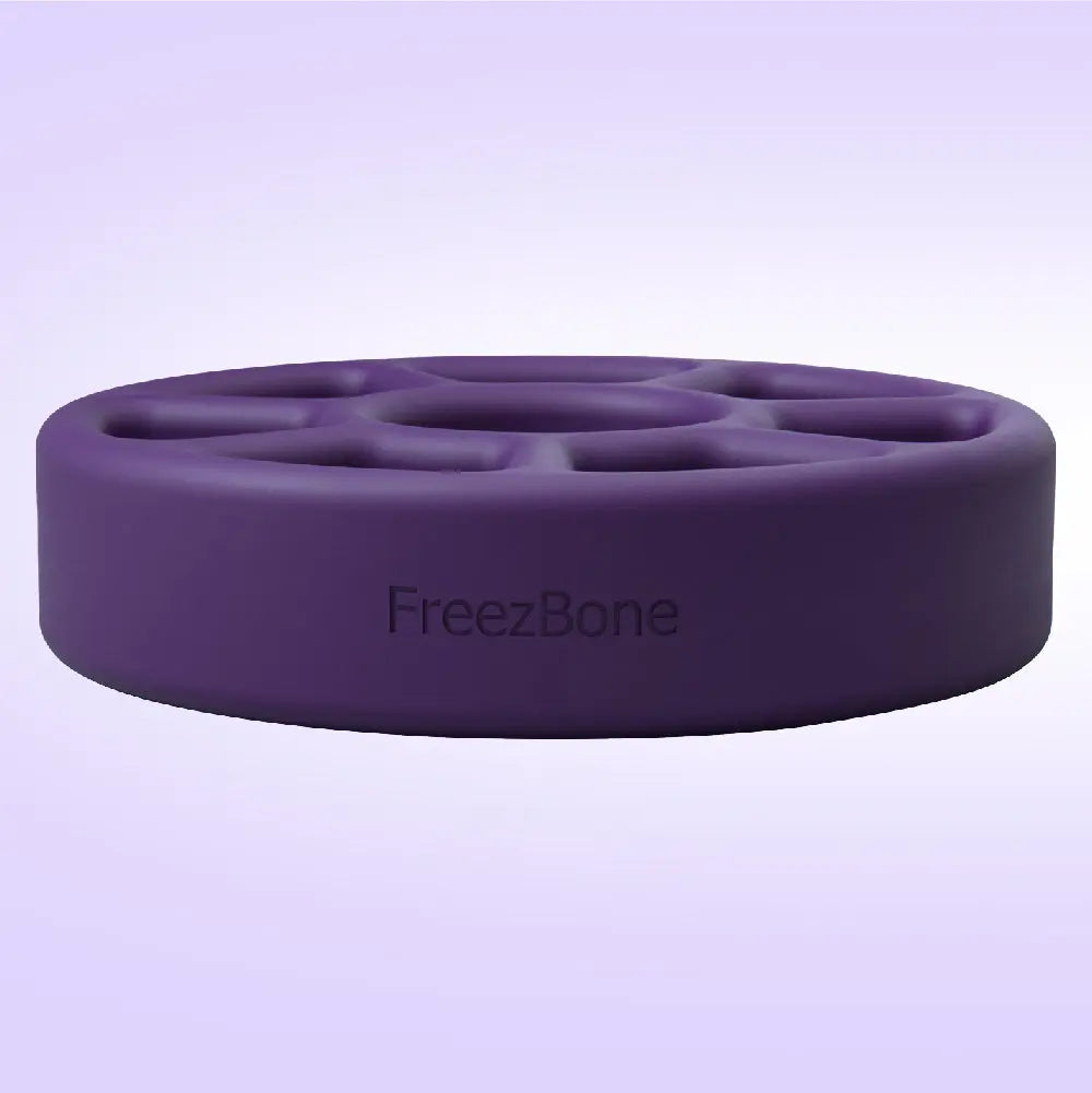 FreezWheel - Durable Interactive Chew Freezbone