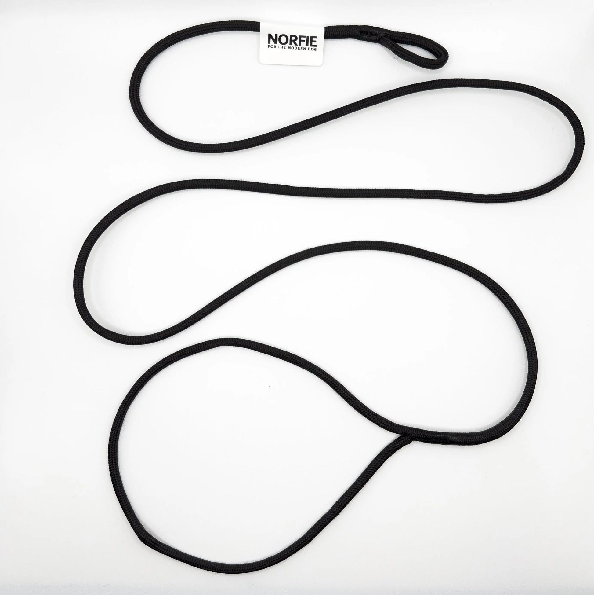 Norfie Champion Nylon Conformation Dog Show Leads Norfie