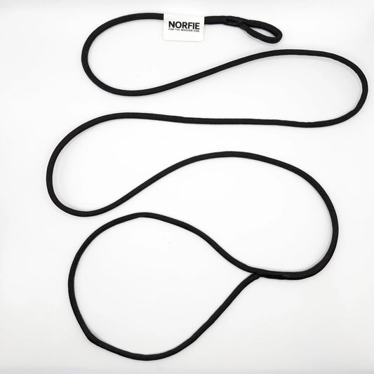 Norfie Champion Nylon Conformation Dog Show Leads Norfie