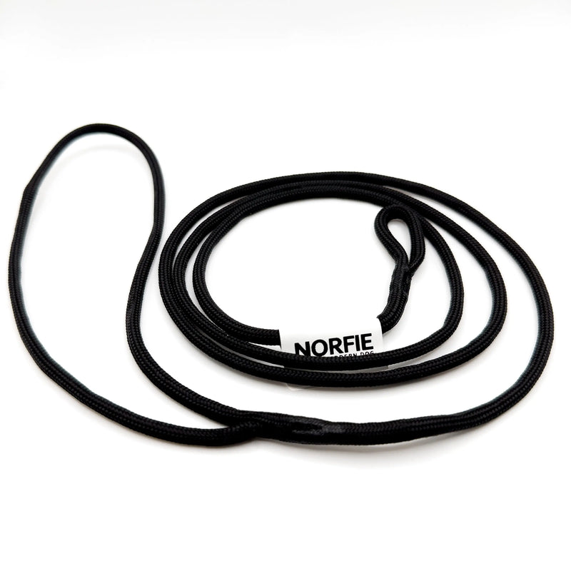 Norfie Champion Nylon Conformation Dog Show Leads