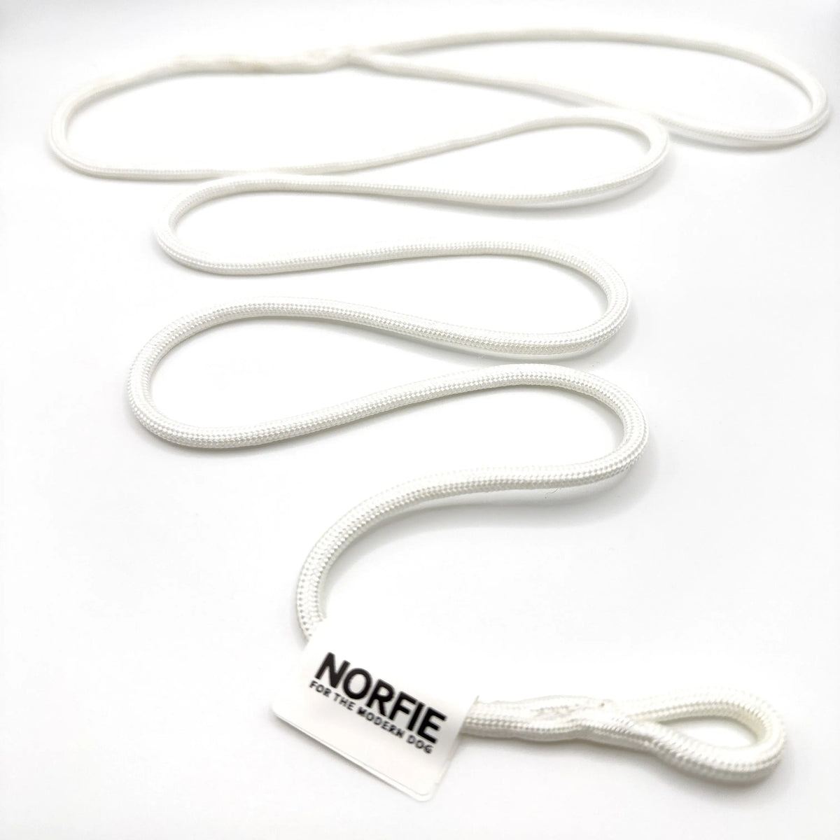 Norfie Champion Nylon Conformation Dog Show Leads