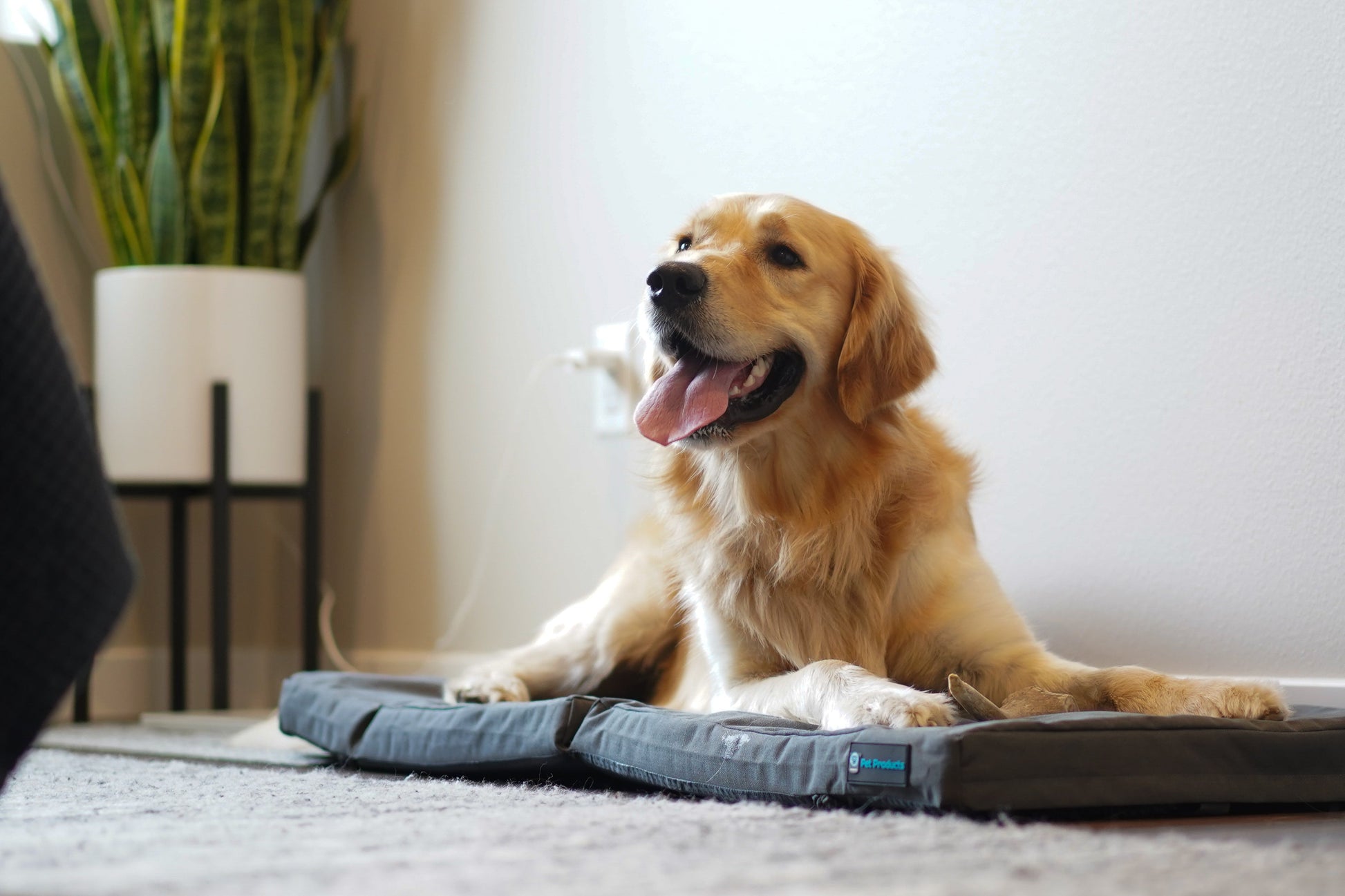Restore+ Double Dog Bed Blue-9 Pet Products