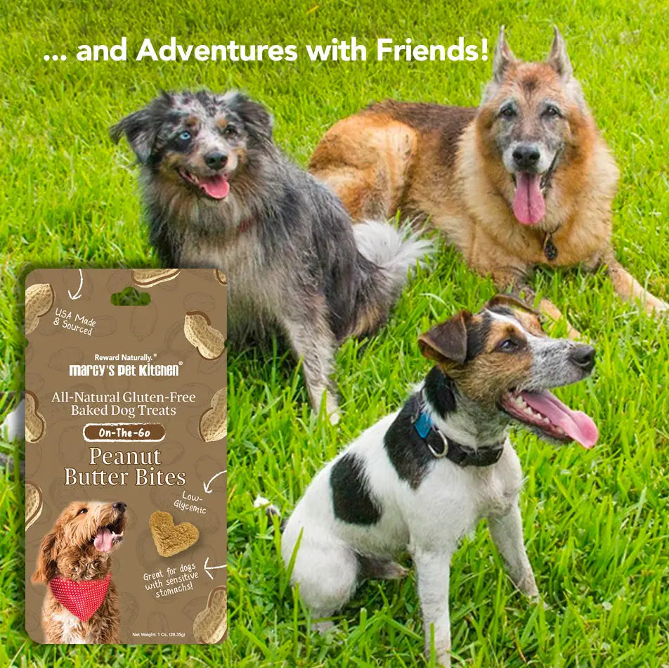 Marcy's Pet Kitchen® - 'On-The-Go' All-Natural, Vegan Peanut Butter Biscuit Marcy's Pet Kitchen