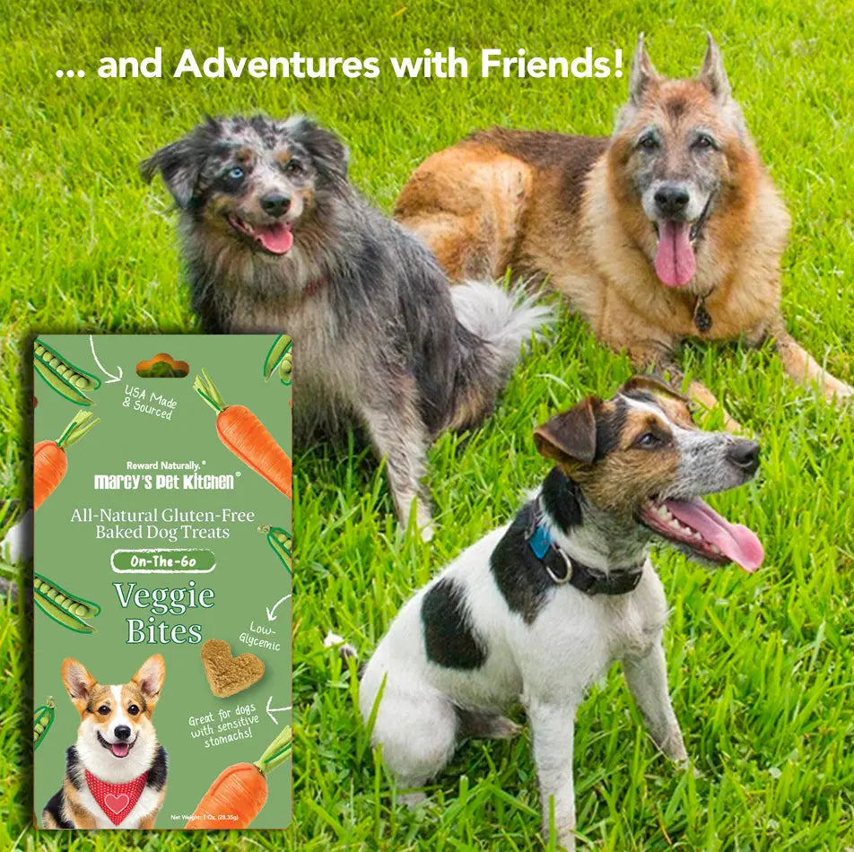 Marcy's Pet Kitchen® - 'On-The-Go' All-Natural, Vegan Veggie Biscuit 1 oz Healthy Dog Treats Marcy's Pet Kitchen