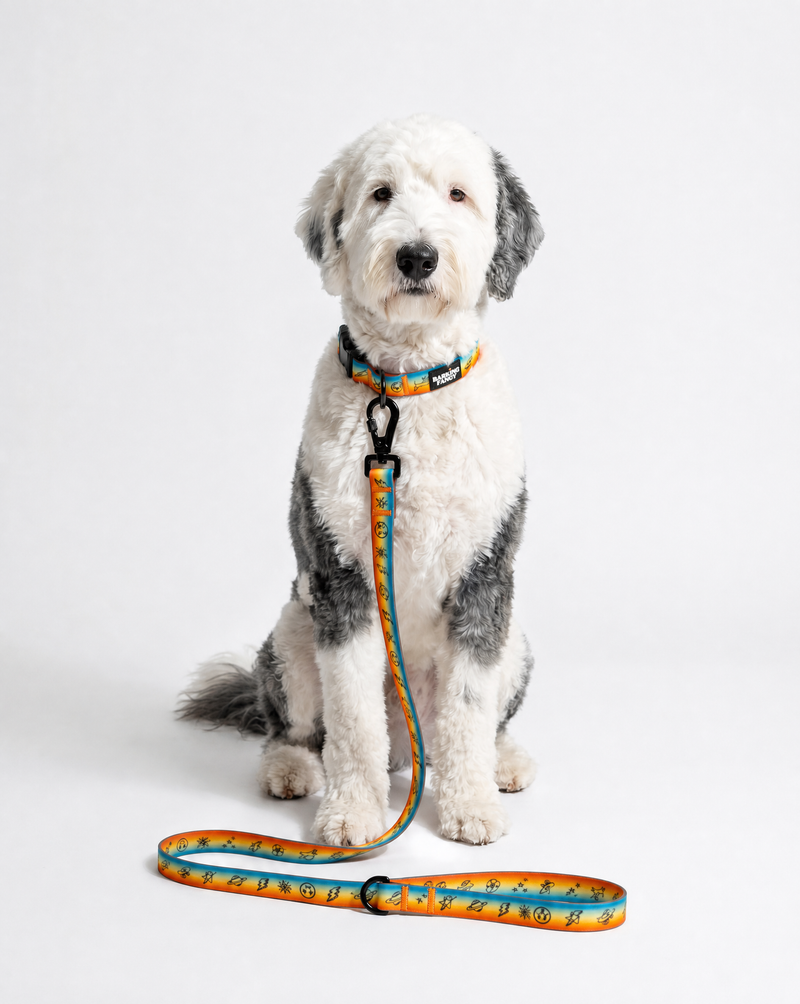 Doodles Print Waterproof 3 Piece Walk Set - Orange Gradient